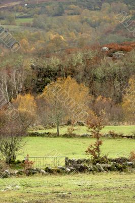Fence at meadow