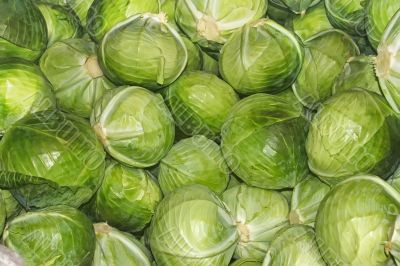 Heap of cabbage heads