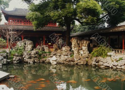  Chinese Garden