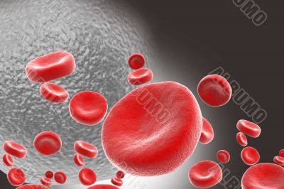 Red blood cell 