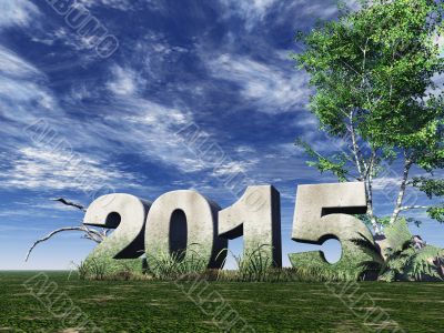 year 2015