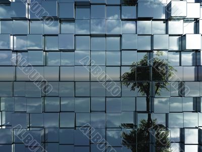 reflection