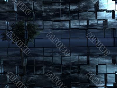 reflecting night