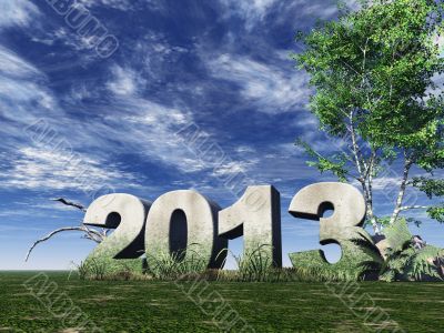 year 2013