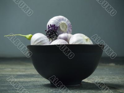 garlic