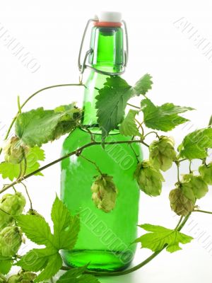 beer