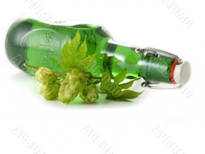 beer