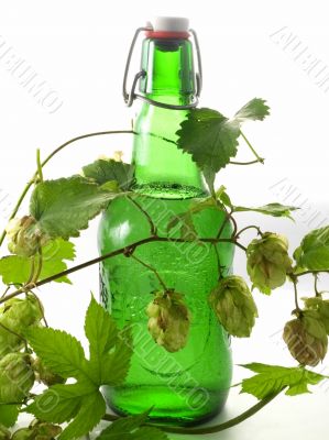 beer