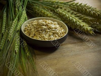 oatmeal