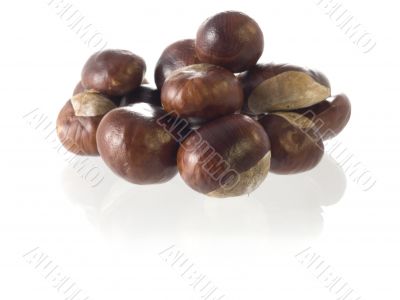 chestnut