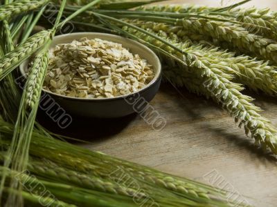 oatmeal