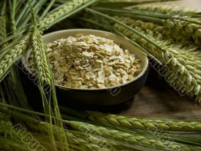 oatmeal