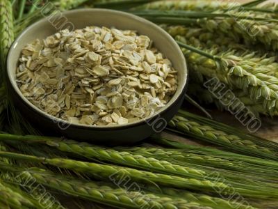 oatmeal