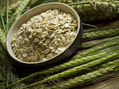 oatmeal