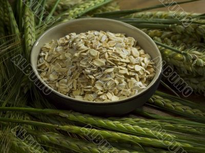 oatmeal