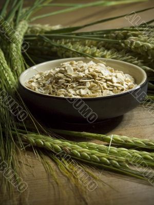 oatmeal