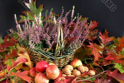 autumn