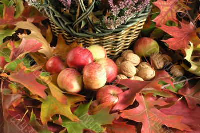 autumn