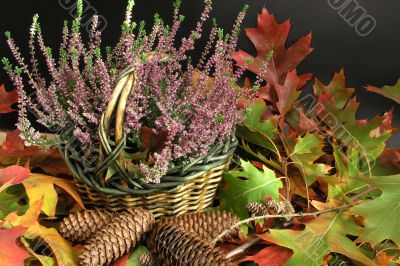 autumn