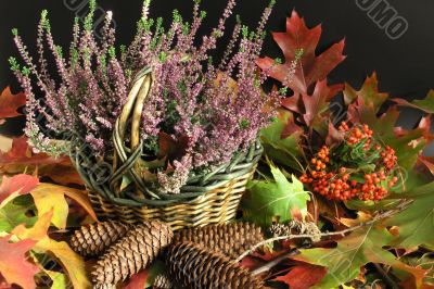 autumn