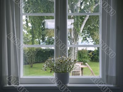 Window