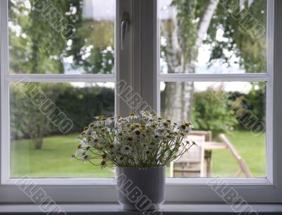 Window