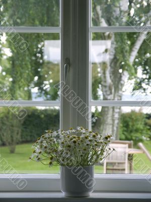 Window