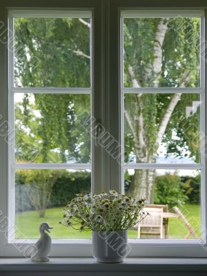 Window