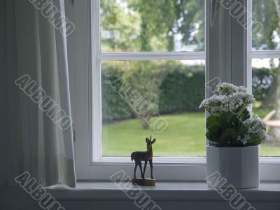 Window