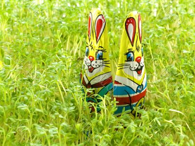 Chocolate easter bunny