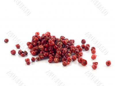 pepper