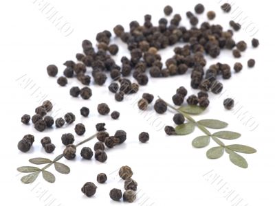 pepper