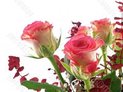 rose bouquet