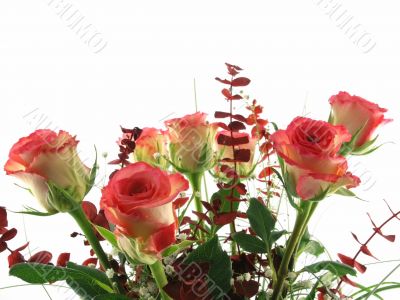 rose bouquet