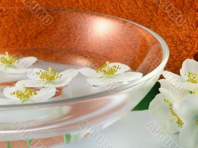 series flowers: branch of fresh jasmine