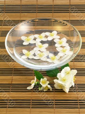 series flowers: branch of fresh jasmine