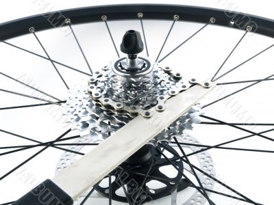 rear bicycle cog cassette