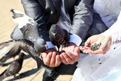 Doves on hands