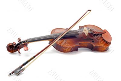 violin