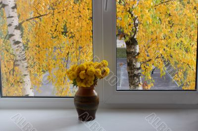 Window in Autumn