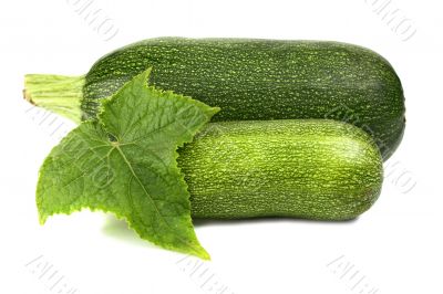 zucchin and leaf