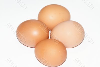  single egg 