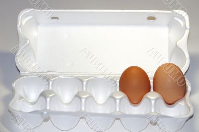  single egg 