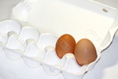  single egg 