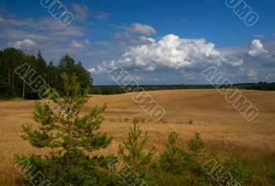 Clouds and Land;