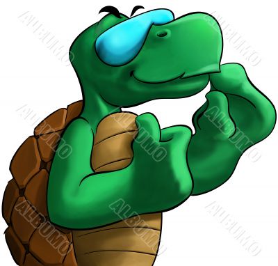 the turtle
