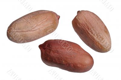 Peanuts.
