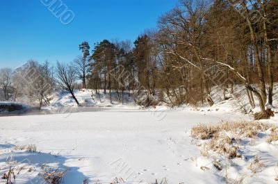 Frosty winter morning