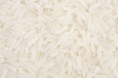 white rice