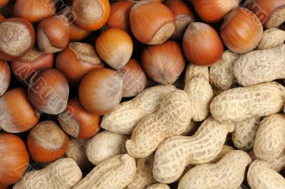 Walnuts and peanuts